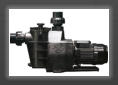 Hayward Maxflo pool pump