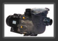 Hayward TriStar pool pump