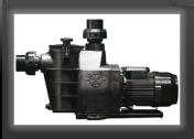 Hayward Maxflo pool pump
