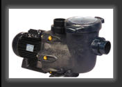 Hayward TriStar pool pump